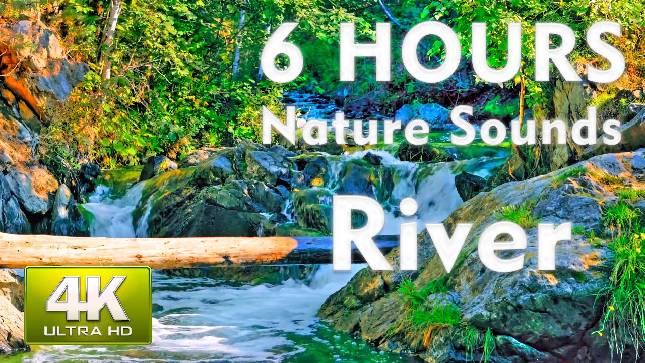 4K Relaxing River Sounds - Nature Sounds Gentle River (6 hours)