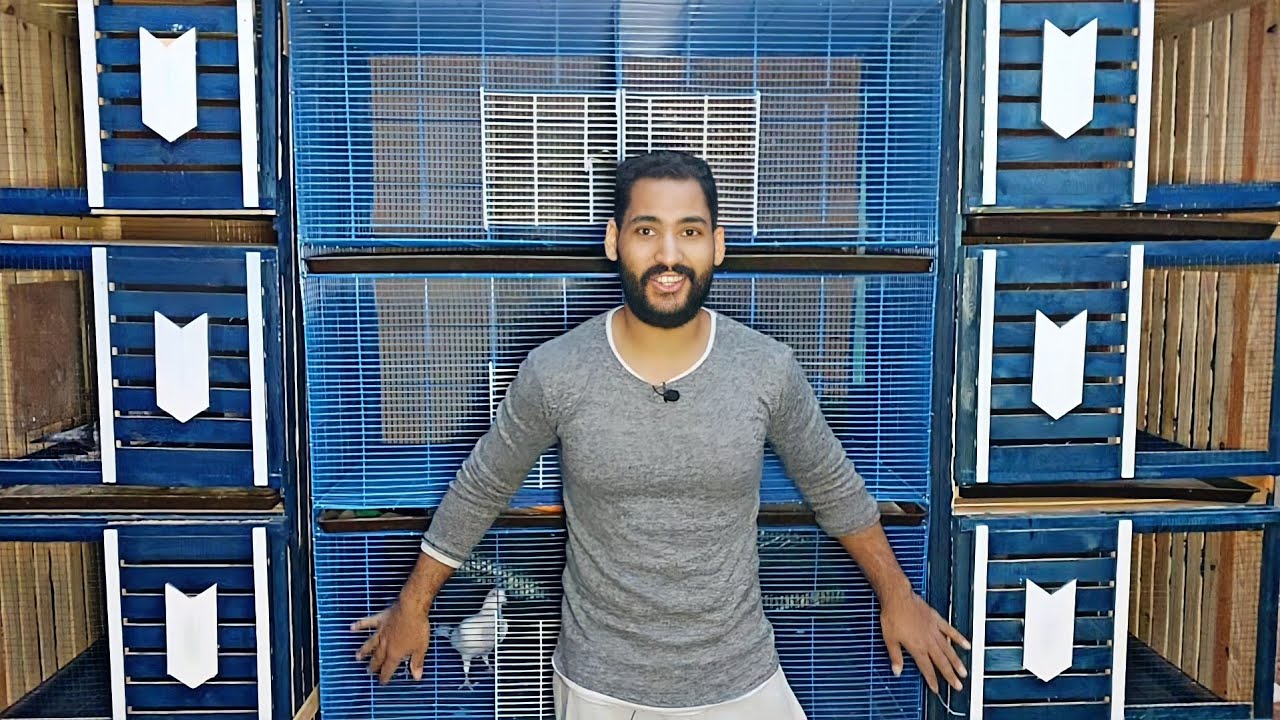 كسرت عشة الحمام السايب وحطيت السلاكات الجديده الخشب والحديد