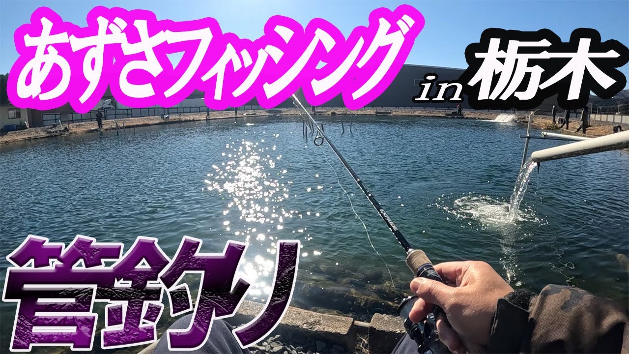 あずさフィッシング】放流直後 栃木のブラックバス管理釣り場です