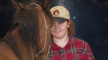 Trailer Loading (Part 2)