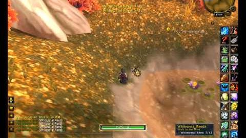 WoW MoP quest - Stick in the Mud