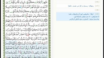 Surat Al Nisa - 4 - القرآن الكريم بصوت سعد الغامدي - سورة النساء