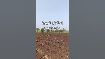#القرآن_الكريم #تلاوة #القرآن #تلاوة_خاشعة #تلاوات #تلاوة_هادئة #اكسبلور #ترندات #explore #duet