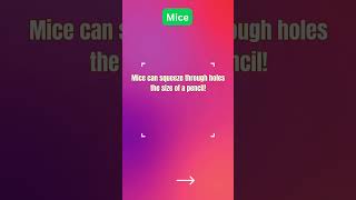 Fun General Knowledge for Kids! 🤓🌍 | Learn in Seconds! Set 15
