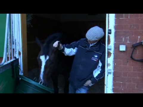 Kinsale King & Carl O'Callaghan prepare for Ascots...