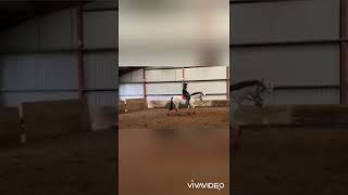 Ad ref 244464 Video 3