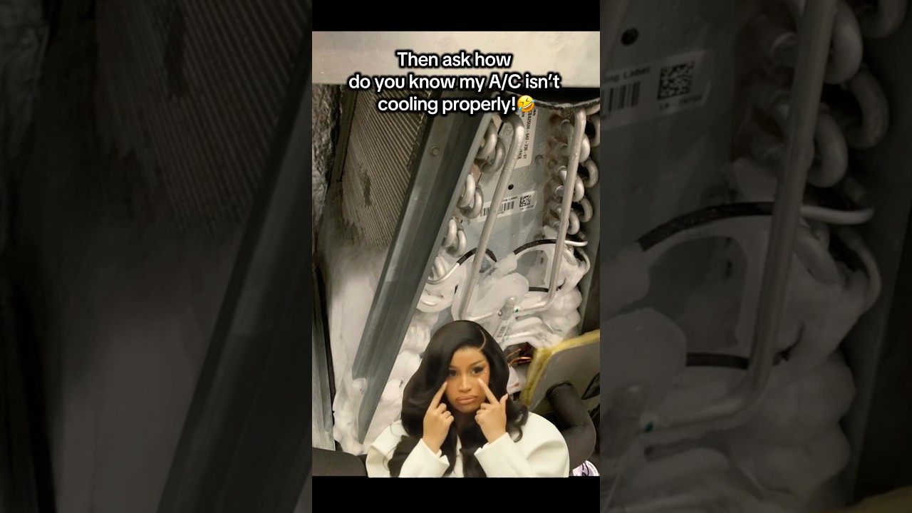 Lucky Red Envelopes Everyone Catch Them FamilyGameChallenge FunGames Games FamilyFunny Funny - YouTube Auto PHP Script