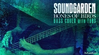 "Bones of Birds" - Soundgarden | Bass w/ Tabs (HD Cover | 1080p)