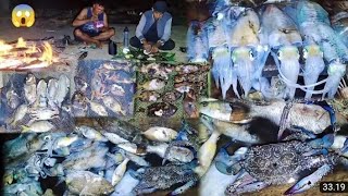 Bakar ikan di pinggir pantai malam hari