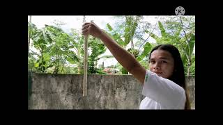 PE-3 Activity 1: Fundamental Skills of Arnis