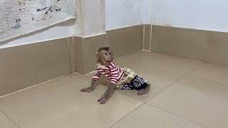 Omq Nazztii Jasmine Pretends To Break Legs On The Floor 