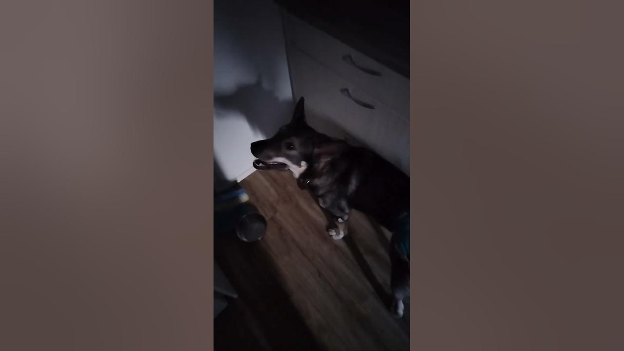 menkka pöksyt - YouTube