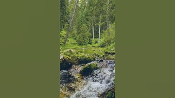 سورة الأعراف (179) تلاوة أحمد السويلم