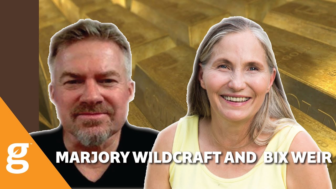 Bix Weir interviews Marjory Wildcraft YouTube