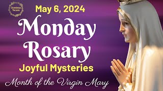 MONDAY HOLY ROSARY 🌹 May 6, 2024 🌹 Joyful Mysteries of the Holy Rosary || TRADITIONAL ROSARY by Dominus Tecum 279 views 3 weeks ago 24 minutes