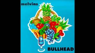 Watch Melvins Boris video