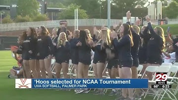 UVA Softball earns at-large bid to NCAA Tournament