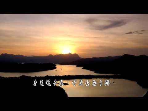 我是一片雲