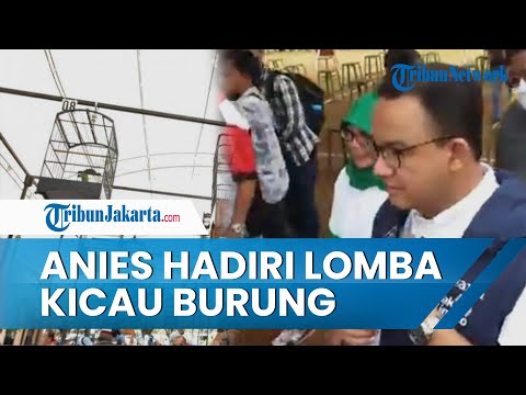 Gubernur DKI Jakarta Anies Baswedan Ikut Ramaikan Lomba Kicau Burung Pra Piala Gubernur Jakarta