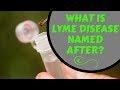 What is LYME disease?