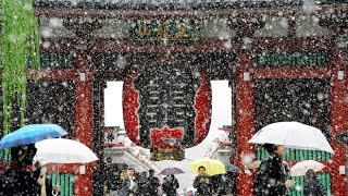 Japan Snow (Глюк’oZa "Снег идет")