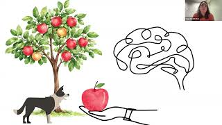 "Working Memory in Action", Dr. Sage Boettcher