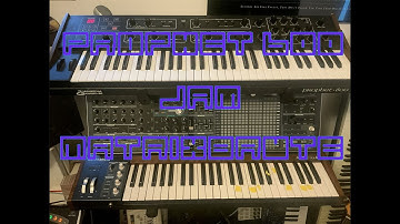 Arturia MatrixBrute and Sequential Circuits Prophet 600 Jam #shorts