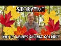 Andy Tells a Story: Why Do Leaves Change Colour in the Autumn?