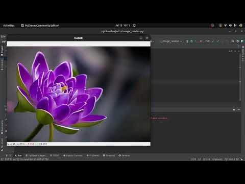 How To Read, Display and Write An Image Using OpenCV In Python - YouTube
