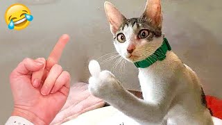 Try Not To Laugh 😁 New Funny Cats and Dogs Videos 😹🐶 Part 12