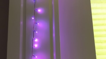 NeoPixel control over WiFi!