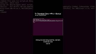 T• file: file này là text, script hay binary? | Bonus (Terminal Zero→Pro) #ubuntu #terminal #code