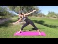 Limber - the top 100 yoga poses