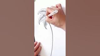 Charcoal Drawing Tutorial: Learn Charcoal Drawing Step by Step #drawing