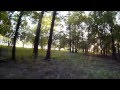 FPV 250 path 4 Суворовский парк