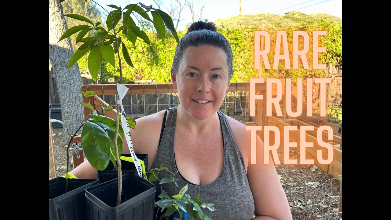 Turning My Yard Into An Edible Paradise | Rare Fruit Tree Haul