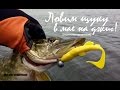 Ловля щуки весной на озере. Джиг с лодки. Видео отчет от 16 мая 2017.