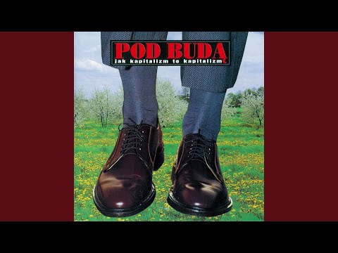 Putar Turkusowa polana - Pod Budą