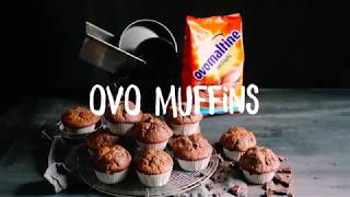 Rezept: Ovomaltine Muffins