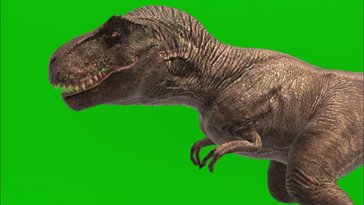 Tyrannosaurus T-Rex Run Green Screen 3D , Stock Video