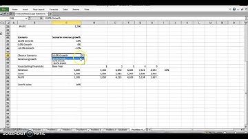 Excel Modeling Basics - scenario switching and management