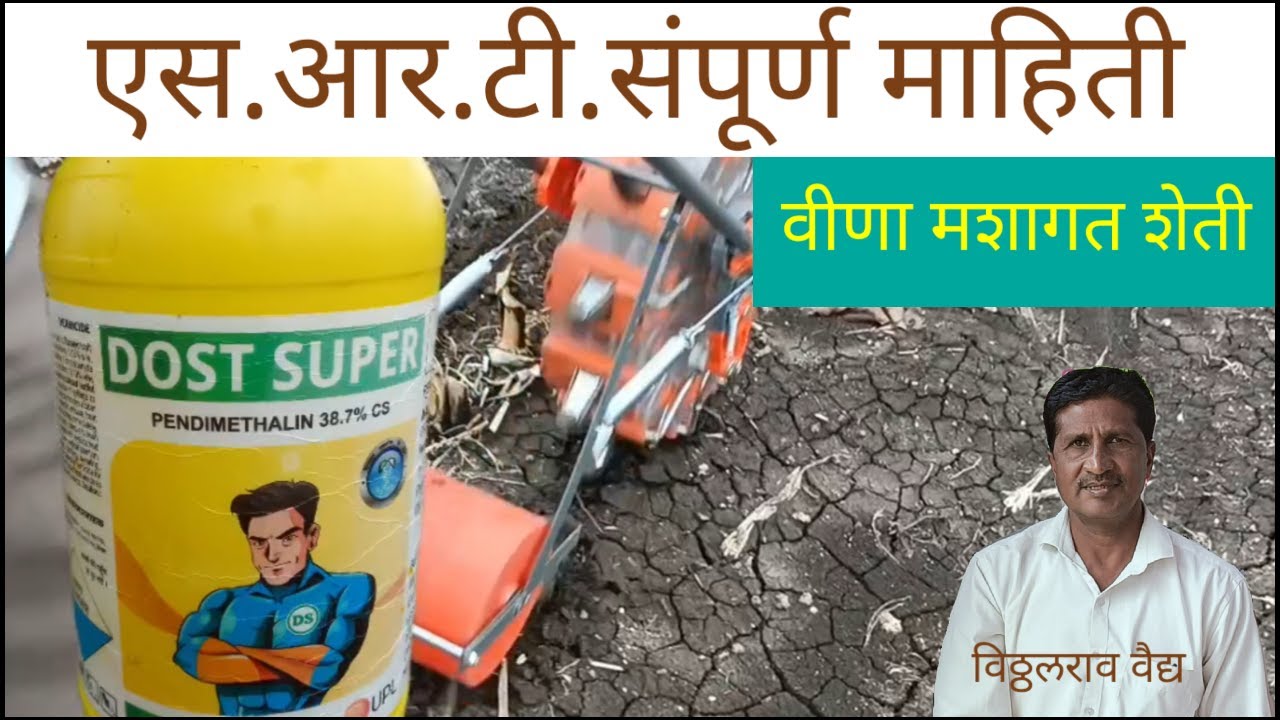 वीणा नागर शेती एस आर टी शेती शुन्य मशागत शेती झिरो टिलेज