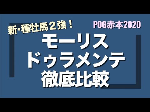 牡馬 2020 新種