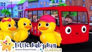 5 little ducks on a bus song nursery rhymes and kids songs baby songs little baby bum