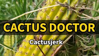Cactus Doctor: Saving a Trichocereus with a Nutrient Deficiency and Root Problems!