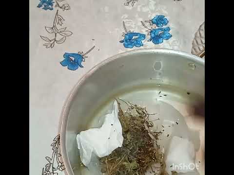 شرويطة الزعتر تجيب ليك تيعتر لتواصل 0781671809