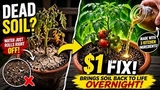 The $70 Billion Soil Secret… and the $1 Fix