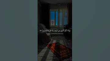 قران كريم بصوت الشيخ ماهر المعيقلي راحة نفسية يارب ثبت الاجر لي ولكم