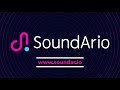 Soundario  how to manage your music on the creator portal