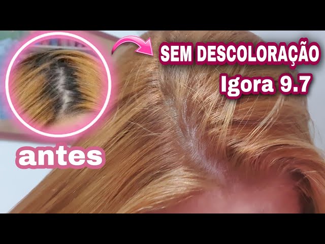 Retocando a raiz do meu cabelo com a igora 9.7 #ruiva #ruivo #ruivanat